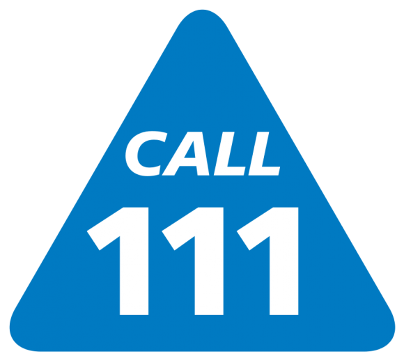 NHS111 logo large – BrisDoc Healthcare Services